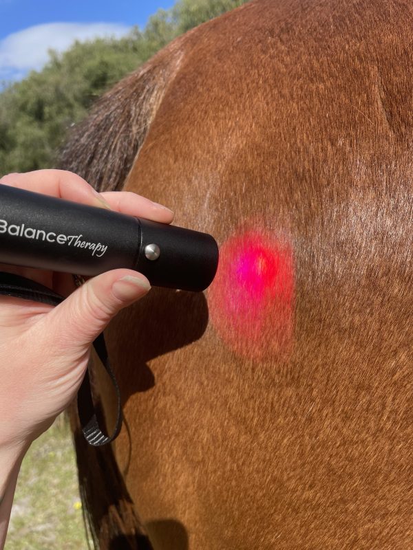 Inbalance Therapy Premium Torch - Image 2