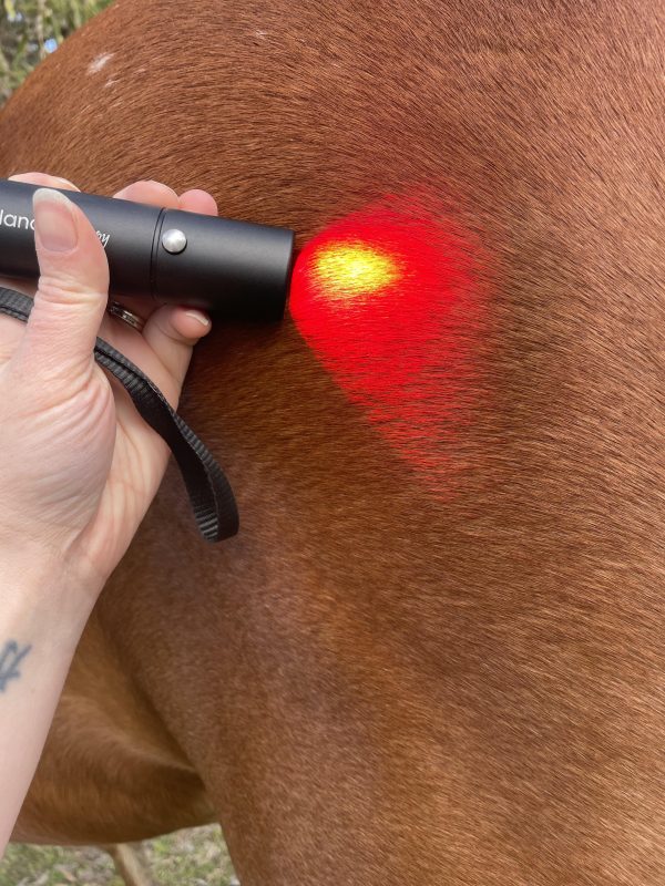 Inbalance Therapy Premium Torch - Image 4